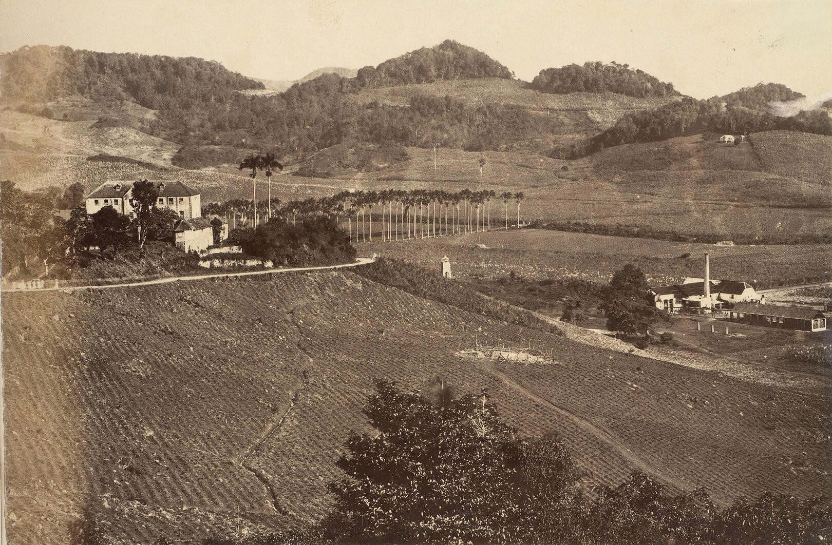 Views of Arnos Vale Estate House from Sion Hill in 1880 with Arnos Vale Estate and sugar factory to the right. © Royal Collecti Views of Arnos Vale Estate House from Sion Hill in 1880 with Arnos Vale Estate and sugar factory to the right.