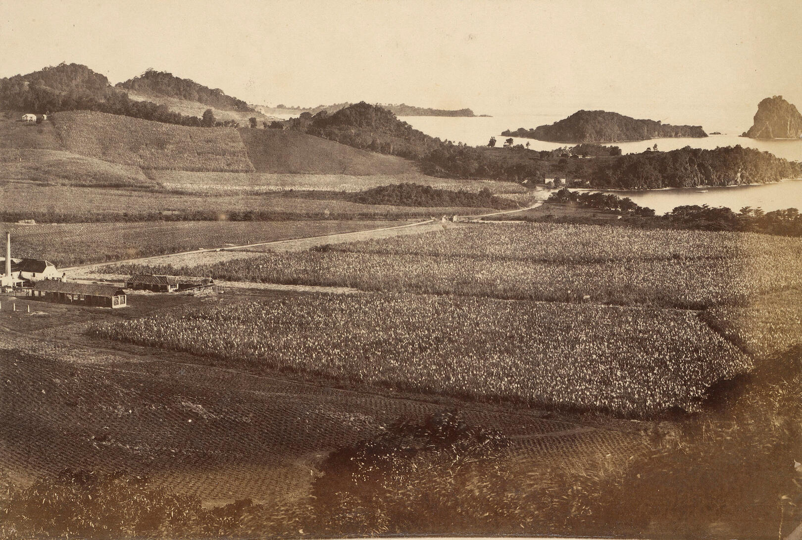 Views towards Fort Duvernette 1880 over Arnos Vale Estate sugar factory. Views towards Fort Duvernette from Sion Hill in 1880 over Arnos Vale Estate with sugar factory